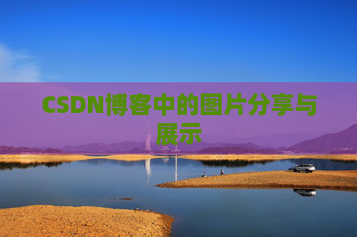 CSDN博客中的图片分享与展示